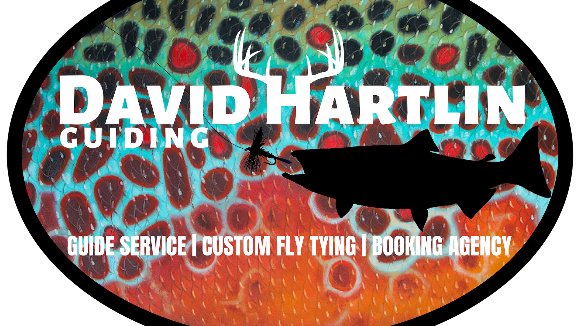 David Hartlin Live Events